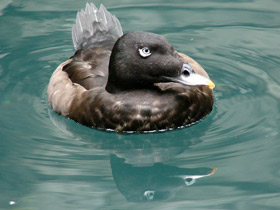 Смотреть фото Турпан Фото Турпан