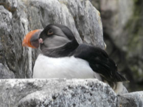 Смотреть фото Тупик Фото Тупик