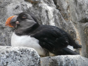 Смотреть фото Тупик Фото Тупик