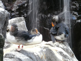 Смотреть фото Тупик Фото Тупик