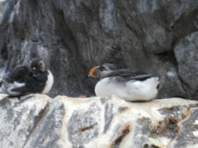 Смотреть фото Тупик Фото Тупик