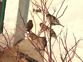 Смотреть фото Загадки для детей с ответами Фото Загадки для детей с ответами