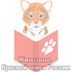 Наши приложения. Бесплатно и без рекламы