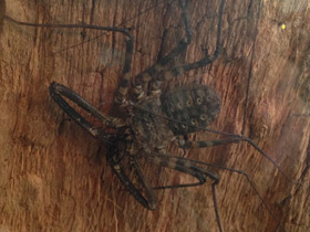 Смотреть фото Фрины Фото Фрины