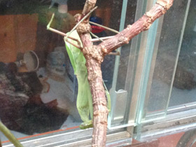 Смотреть фото Формы и краски в мире животных Фото Формы и краски в мире животных