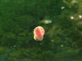 Фото Катушки