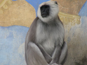 Фото Хануман