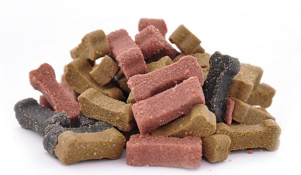 Как приучить собаку ходить рядом с хозяином на поводке?