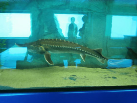 Смотреть фото Калуга Фото Калуга