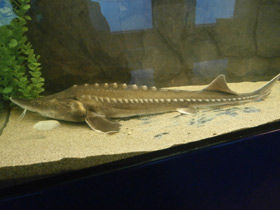 Смотреть фото Калуга Фото Калуга