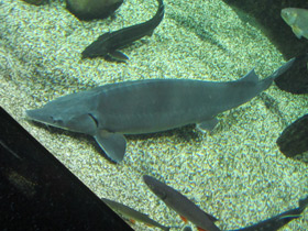 Смотреть фото Калуга Фото Калуга